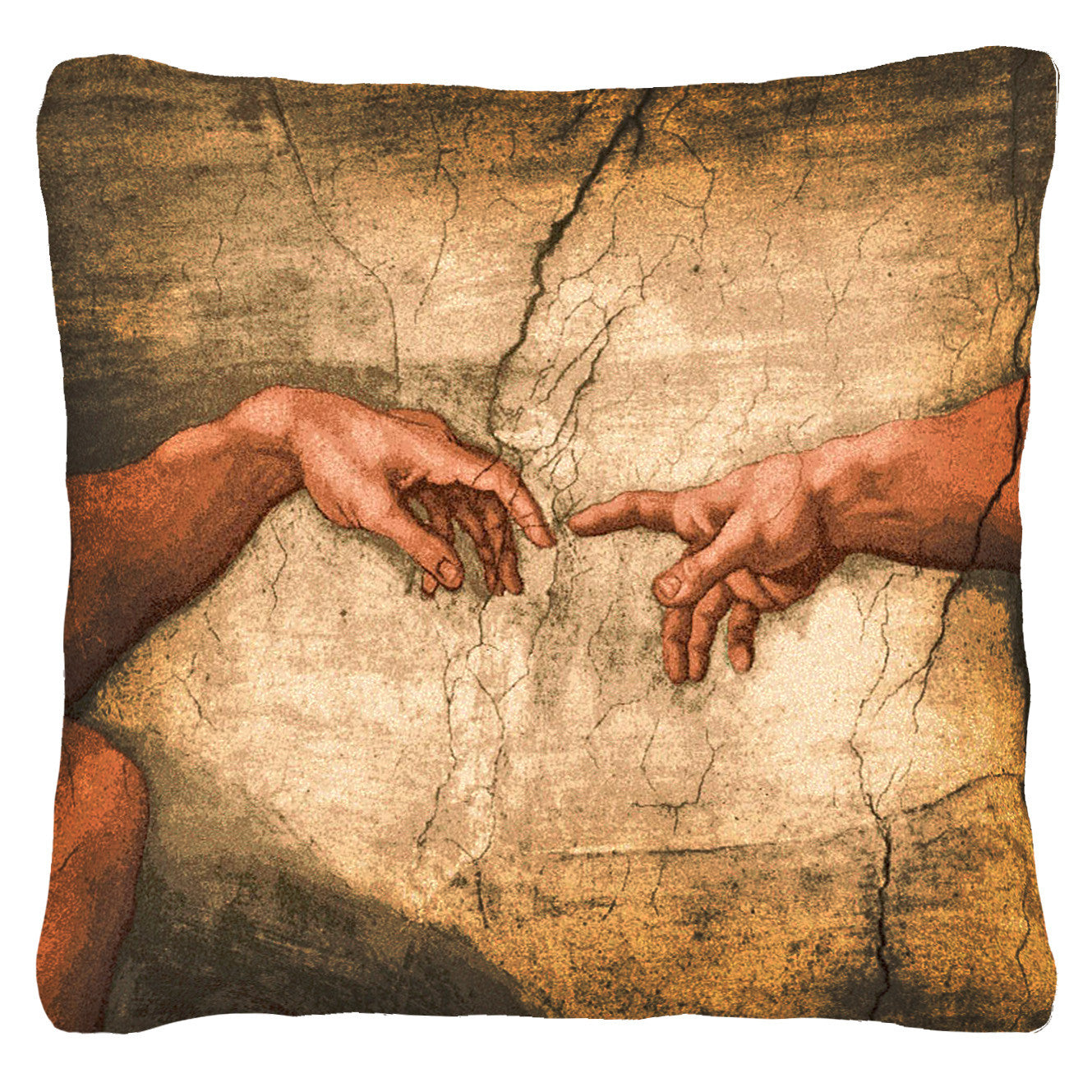 Your Favorite Art Pillow (Euro 24" x 24")