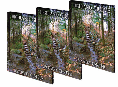 Medium Logos/Business Gallery Wrap Tapestries- Volume Discounts