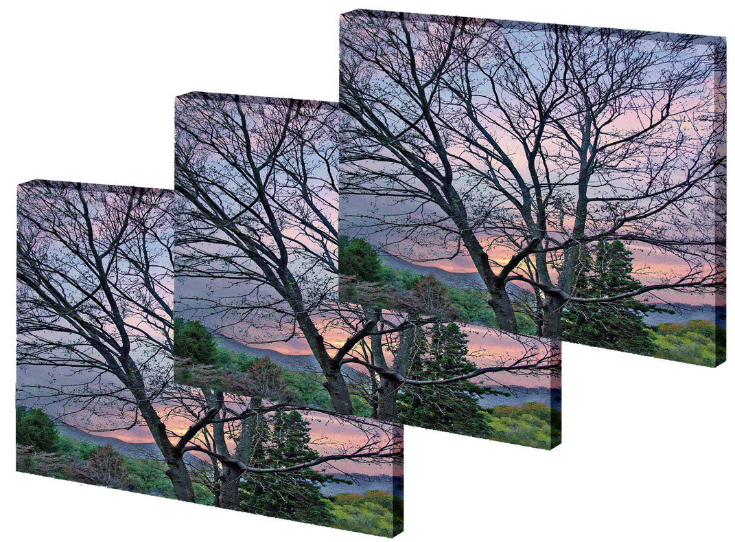Medium Gallery Wrap Photo Tapestries- Volume Discounts