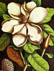 Your Favorite Art Tapestry Wall Hanging - Studio (26" x 34")